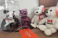 All four Beanie Babies grouped, panda in box, purple, Canada, and Winnipeg bears visible