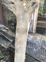 Full view of oak slab leaning against wall
