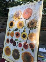 Front view of framed print showing sunflower imagery and title
