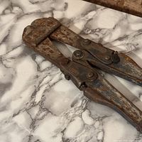 Full view of bolt cutters shows rust and blue paint remnants