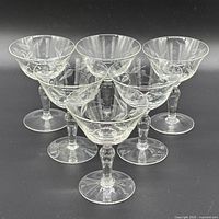 Group shot of all six etched crystal coupe glasses
