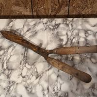 Full view of hedge shears showing entire tool