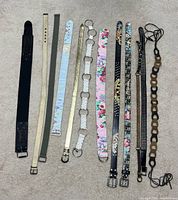 Full group of 12 belts laid out flat for overview
