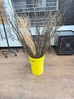 Front view of full bundle of curly willow in yellow bucket
