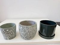 All three planters side by side showing size, colour and saucer