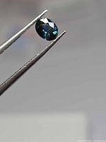 Oval blue sapphire held in tweezers, front facet view