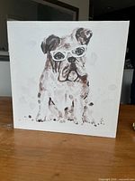 Front view of bulldog canvas print