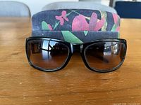 Front view of sunglasses with case behind