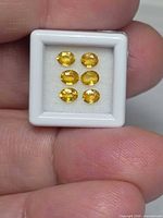 Six oval yellow sapphires in white gem tray