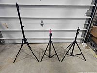 Three Neewer light stands at varied heights front view