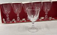 Front view of all six wine glasses in storage box
