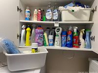 Cabinet with assorted cleaning products, bins, mop head visible