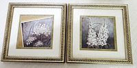 Front view of both framed prints