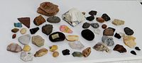 All rock and fossil specimens laid out on surface