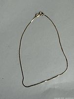 Entire gold chain laid flat showing length and clasp