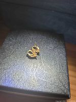 Both gold stud earrings resting on box lid