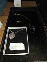 Overview showing pet urn locket in box, gold-tone necklace, Avon earrings