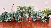 Five faux plants arranged side by side showing types and pots