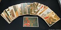 Spread of entire card set fanned out with card #1 in foreground