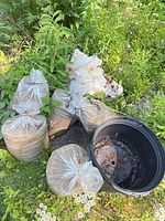 Five sand bags and empty black nursery pot in grass
