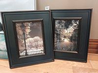Both framed prints side by side showing overall frames and images