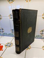 Spine and partial front cover showing gilt title and loss at spine top