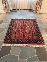 Entire rug laid flat showing full design, fringe visible