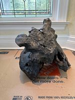 Front view showing overall irregular form and major cavities