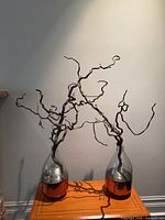 Pair of glass balloon vases with branches on table