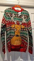 Front view of Blizzard Bay Christmas sweater hanging