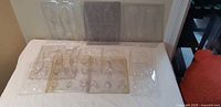 Overview of all clear plastic candy mold trays laid out
