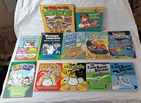 Group shot of all 12 graphic novels laid out