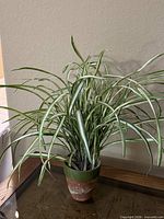 Full view of faux spider plant in pot on tabletop