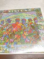 Front sleeve of Syncona LP with vibrant illustrated artwork