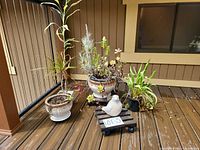 Full view of all planters, caddy and bird statue on deck