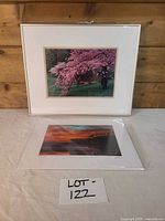 Both prints together showing framing and matting