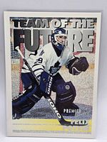 Front view of Felix Potvin Premier Team of the Future #238 card in sleeve