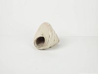 front opening view of cream ceramic snail shell sculpture