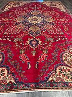 Full view of rug showing overall pattern and colors