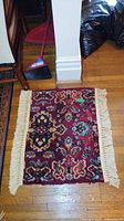 Full view of rug on floor showing pattern and fringe