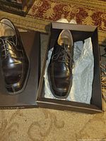 Top view of both shoes in box showing leather condition and laces