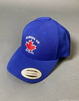Full view of royal blue snapback baseball cap
