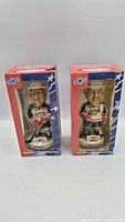 Front view of both boxed bobbleheads