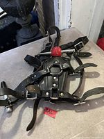 Full view of leather head harness with red ball gag and metal buckles