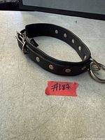 Collar laid flat showing buckle end, rivets and O-ring