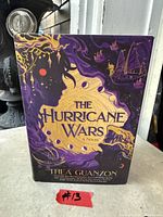 Front cover of The Hurricane Wars hardcover with dust jacket