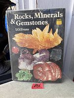 Cover of hardcover book Rocks, Minerals & Gemstones by I.O. Evans with dust jacket