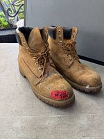 Front and side view of both boots showing uppers, laces, collars, wear