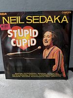 Front cover of Neil Sedaka Stupid Cupid LP showing artist photo and title
