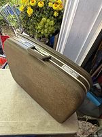 Olive-brown textured suitcase standing on edge showing carry handle and trim